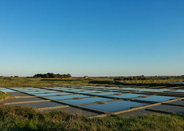 De Lauvergnac - Maisons 2 Ch, 2 Sdb 펜션 라튀르발