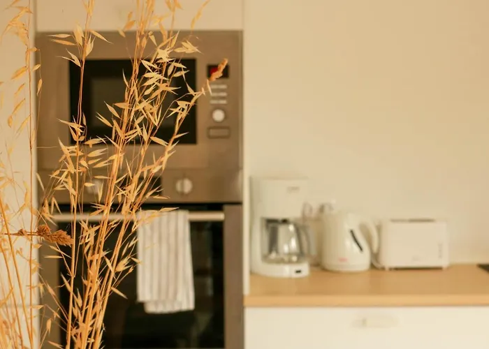 De Lauvergnac - Maisons 2 Ch, 2 Sdb 라튀르발